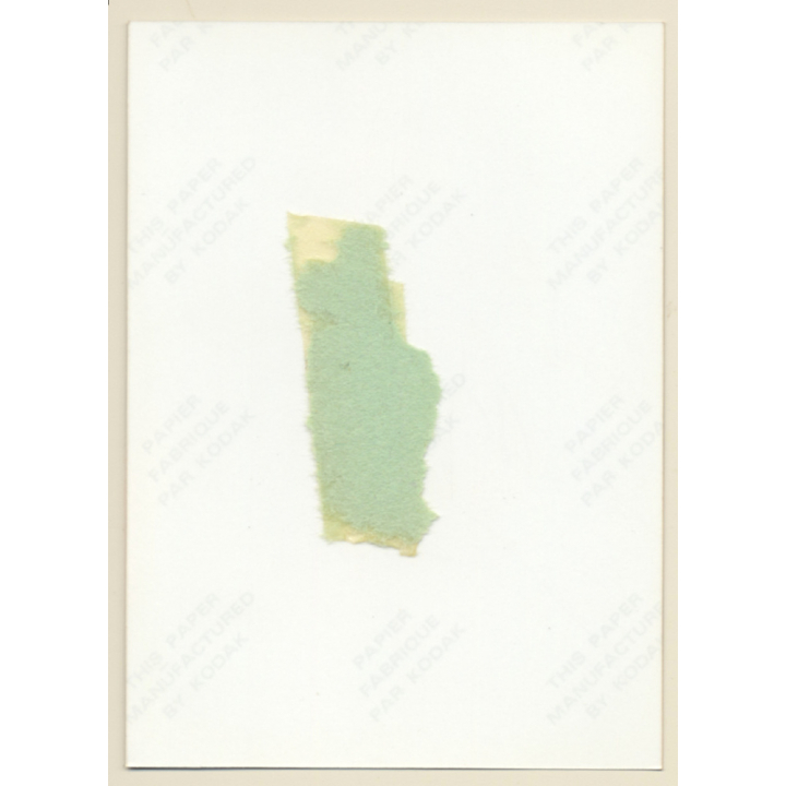 Erotic Study: Petite Semi Nude In Fishnets / Boobs (Vintage Photo ~1980s)