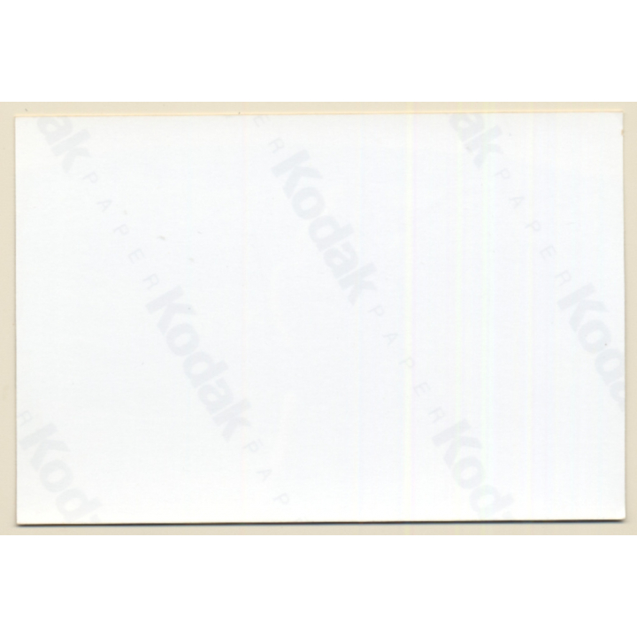 Erotic Study: Natural Brunette Flashing Boobs Outdoors (Vintage Photo ~1990s)