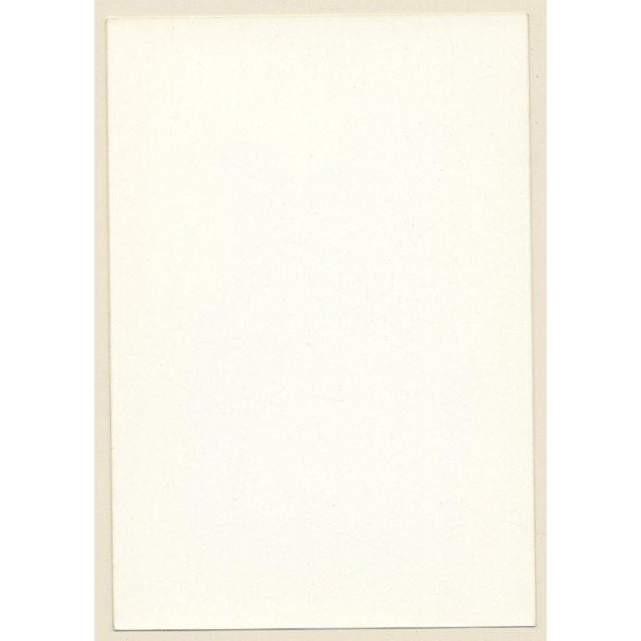 BDSM Study: BLack Mistress Spanking Maids' Butt / Nylons (Vintage Photo France ~1980s)