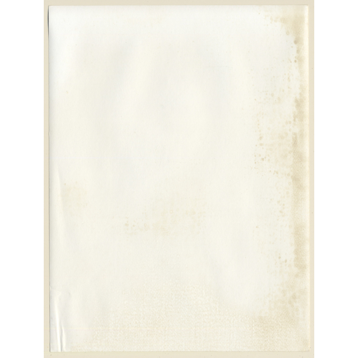 Erotic Study by Hubert Toyot: Natural Dark-Haired Nude*3 / On Ladder (Large Vintage Photo 1950s/1960s)