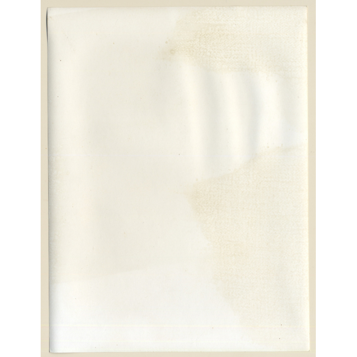 Erotic Study by Hubert Toyot: Natural Dark-Haired Nude*4 / On Ladder (Large Vintage Photo 1950s/1960s)