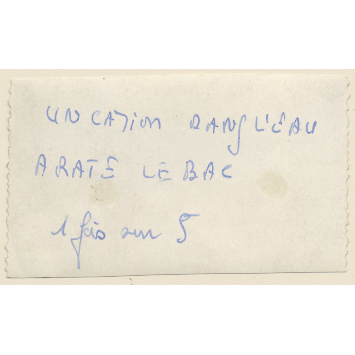 Liberia: Le Bac / Lorry Missed Ferry - Stuck In River (Vintage Photo ~1950s)