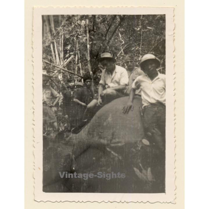 Liberia: Nativ Hunters With Killed Prey (Vintage Photo ~1950s)