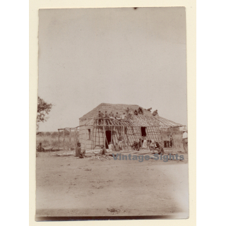 Congo Belge: Indigenous People Building Colonial Missionary / Ethnic (Vintage Photo ~1910s/1920s)