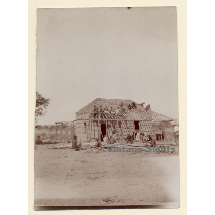 Congo Belge: Indigenous People Building Colonial Missionary / Ethnic (Vintage Photo ~1910s/1920s)