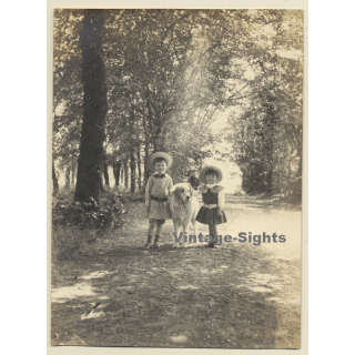 Martillac / Gironde: Château de L'Hermitage *5 / 2 Kids & Dog (Vintage Photo ~1910s/1920s)