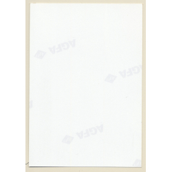 Erotic Study: Busty Blonde Nude Female *3 / Kneeling - Butt (Vintage Photo ~1990s)