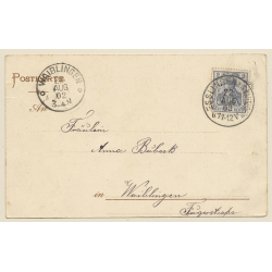 Esslingen a. Neckar: Total View (Vintage PC 1902)