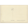 Venezia / Venice: Panorama Visto Dall'Alto (Vintage RPPC)