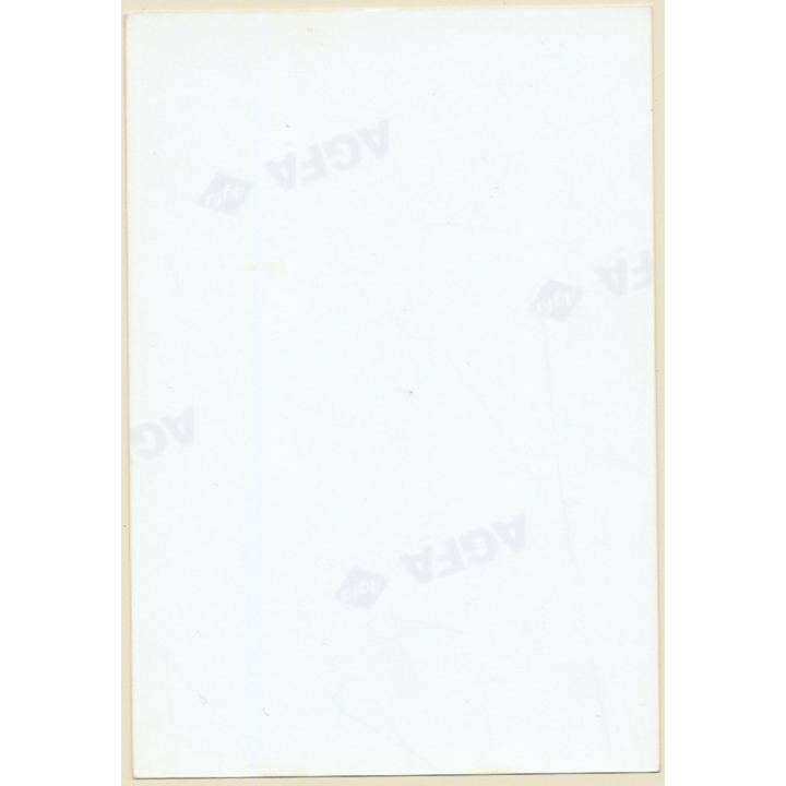 Erotic Study: Busty Nude Blonde Curlyhead*2 / Nip Slip (Vintage Photo ~1990s)