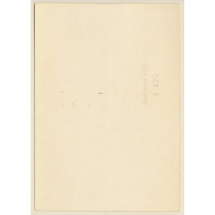 Erotic Study: Natural Blonde Female In Black Lingerie (Vintage Photo GDR ~1980s)