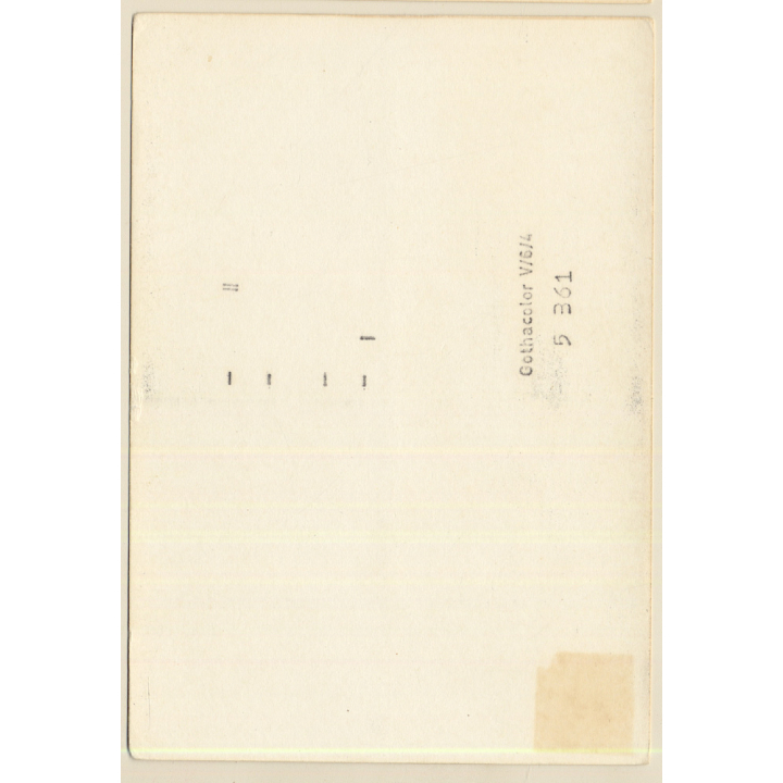 Erotic Study: Natural Topless Blonde Female / Tanga (Vintage Photo GDR ~1980s)