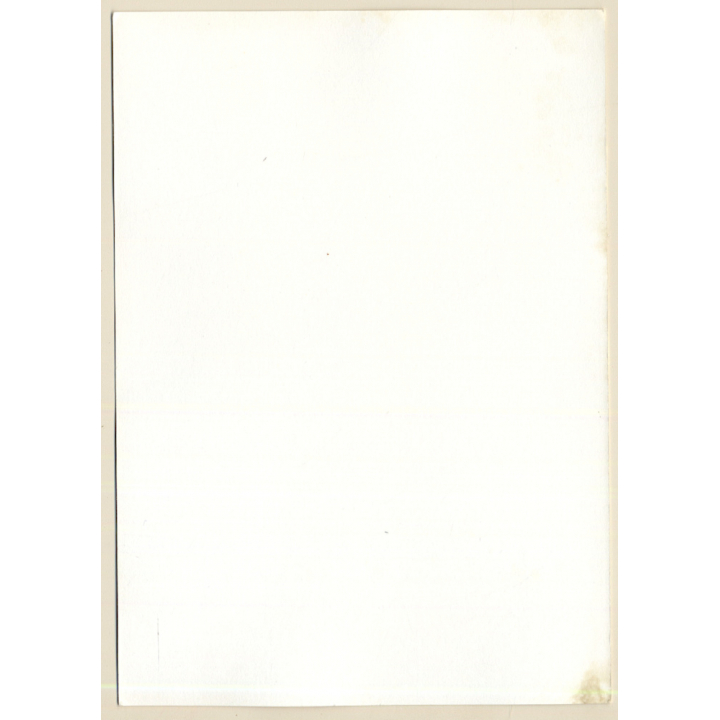 Erotic Study: Smiling Nude Female With Apron (Vintage Photo GDR ~1980s)