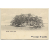 Trinidad / Antilles: Lenegan Island (Vintage PC 1900s)