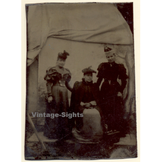 3 Elegant Ladies In Victorian Dresses / Tintype (Vintage Ferrotype Photo 1890s/1900s)