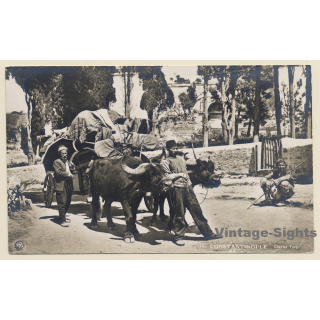 Constantinople - Istanbul / Turkey: Chariot Turc - Turkish Ox Cart (Vintage RPPC ~1910s)