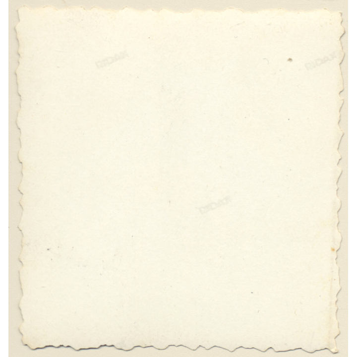 Congo Belge: Watusi Tribe Members At Dance Ritual / Ethnic (Vintage Photo ~1950s)