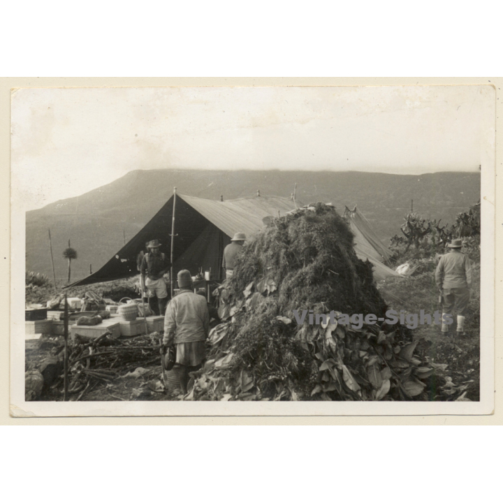 Congo Belge: Colonial Expedition Camp On Mount Bisoke (Visoke)  (Vintage Photo 1953)