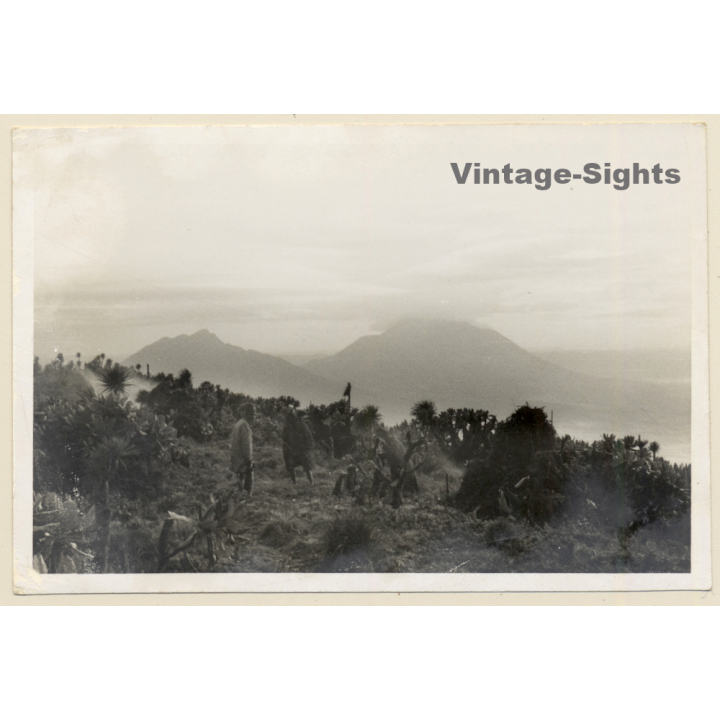 Congo Belge: Mount Bisoke (Visoke) Camp Et Karisimbi  (Vintage Photo 1953)