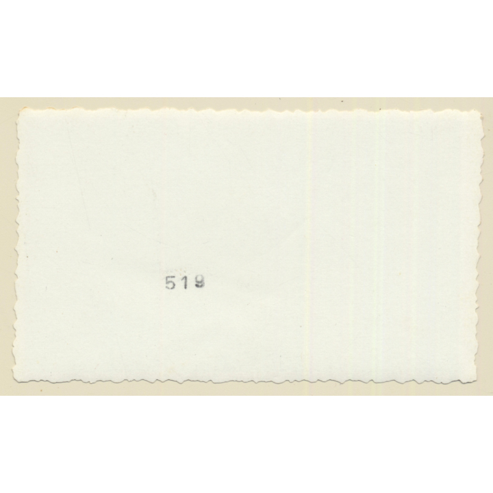 Congo Belge: Killed Rhinocerus - Big Game Hunting (Vintage Photo ~1940s/1950s)