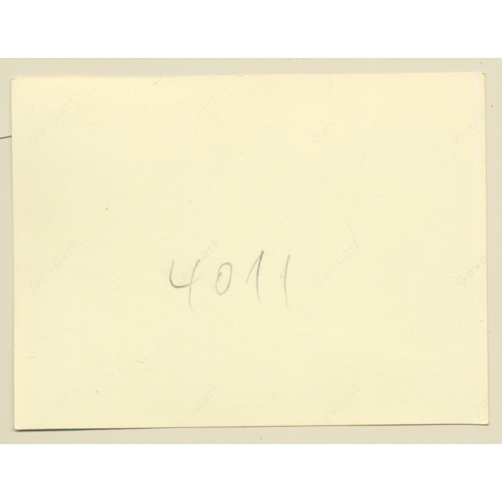 Léopoldville - Kinshasa / Congo Belge: Big Military Parade / Independence ? (Vintage Photo ~1960s)