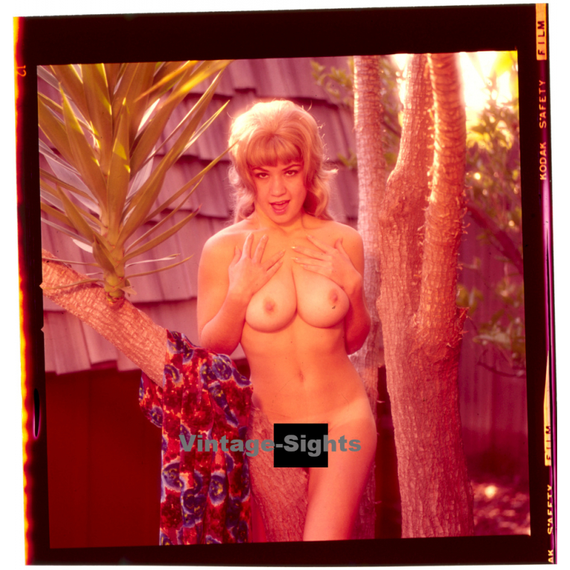 Erotic Study: Cheeky Busty Blonde Nude In Garden / Hairstyle (Vintage Diapositive KORENJAK 1970s/1980s)
