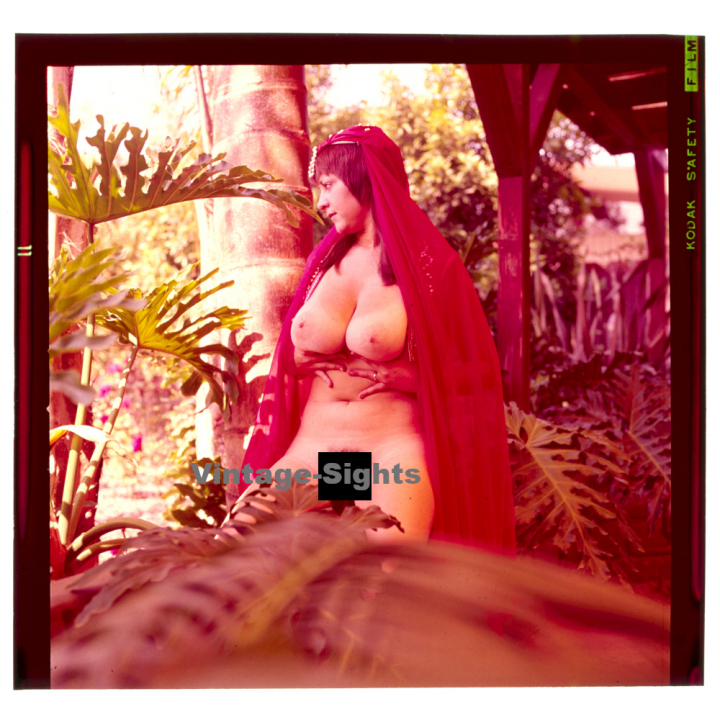 Erotic Study: Busty Nude Wearing Indian Veil*3 (Vintage Diapositive KORENJAK 1970s/1980s)