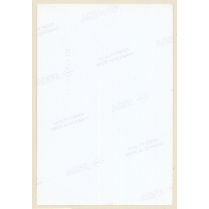 Erotic Study: Happy Natural Nude With Big Boobs*1 (Vintage Photo East Germany 1990s)