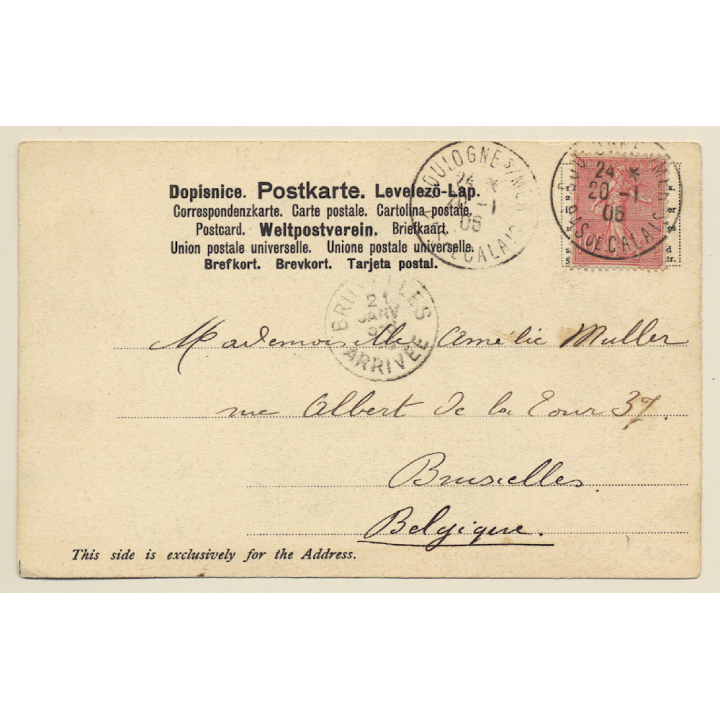 Holland-America Line: Twinscrew Steamer (Vintage PC 1906)