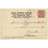 Holland-America Line: Twinscrew Steamer (Vintage PC 1906)