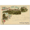Waldenburg / Ba-Wü: Fürstliches Schloss - Linde (Vintage PC Litho 1897)