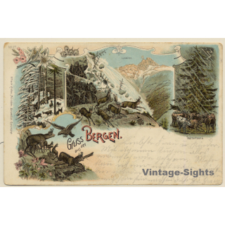 Gruss Aus Den Bergen: Rehe - Lawine - Wettertanne (Vintage PC Litho 1899)