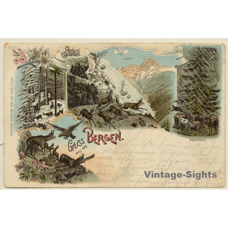 Gruss Aus Den Bergen: Rehe - Lawine - Wettertanne (Vintage PC Litho 1899)
