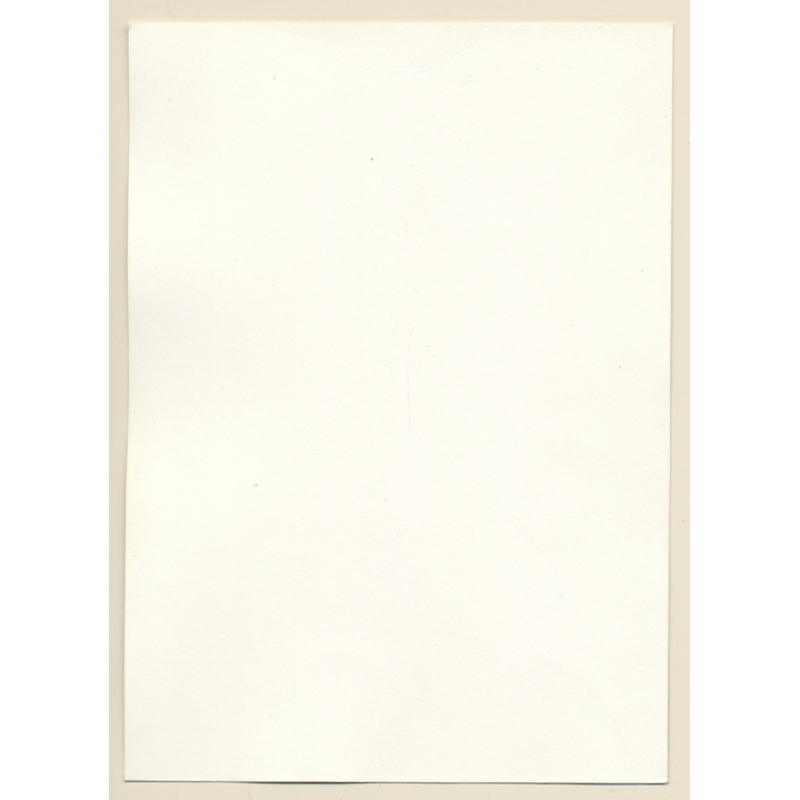 Erotic Study: Slim Natural Dark-Haired Nude*1 / Blouse (Vintage Photo GDR 1970s/1980s)