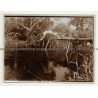 Snapshot Of Nude Man Who Jumps Into River / Congo? (Vintage 2nd Gen.Photo B/W ~1920s/1930s)