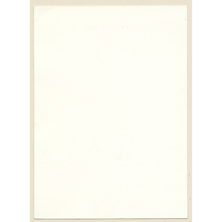 Erotic Study: Slim Natural Dark-Haired Nude*4 / Nip Slip (Vintage Photo GDR 1970s/1980s)