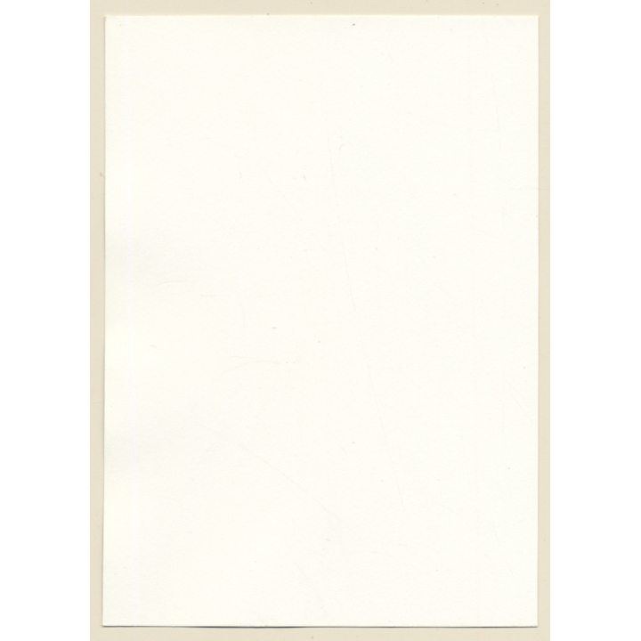 Erotic Study: Slim Natural Dark-Haired Nude*7 / Hairy Armpits (Vintage Photo GDR 1970s/1980s)