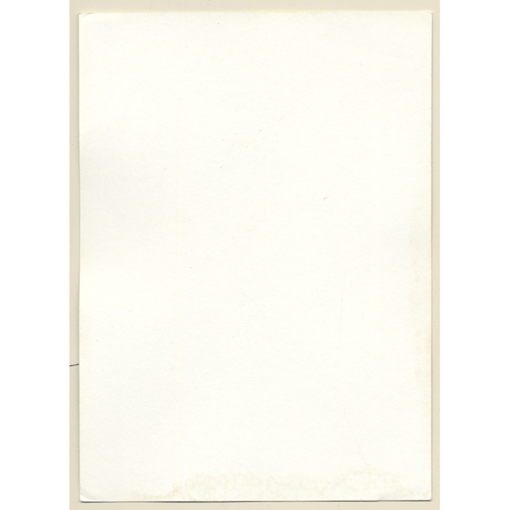 Erotic Study: Slim Natural Dark-Haired Nude*11 / Boobs (Vintage Photo GDR 1970s/1980s)