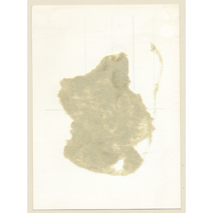 BDSM Study: 2 Maids In Lacquer Outfits Tied To Each Other / Face Mask (2nd Gen Photo ~1950s/1960s)