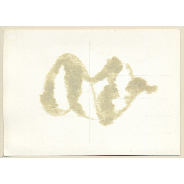 BDSM Study: Slim Dark-Haired Maid Tied To Camp Bed / Bondage (2nd Gen Photo ~1950s/1960s)