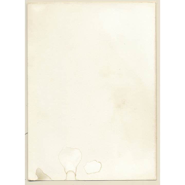 Erotic Study: Natural Long-Haired Nude In The Nature*2 (Vintage Photo GDR 1980s)