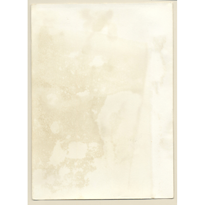 Erotic Study: Natural Long-Haired Nude In The Nature*6 (Vintage Photo GDR 1980s)