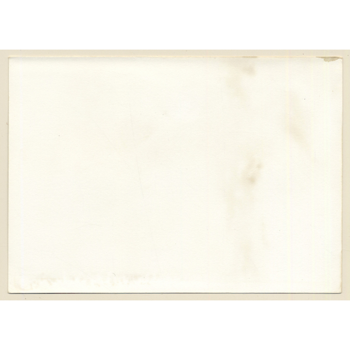 Erotic Study: Natural Long-Haired Nude In The Nature*9 (Vintage Photo GDR 1980s)