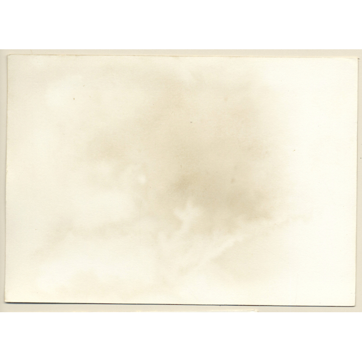 Erotic Study: Natural Long-Haired Nude In The Nature*11 (Vintage Photo GDR 1980s)