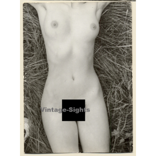 Erotic Study: Natural Long-Haired Nude In The Nature*14 (Vintage Photo GDR 1980s)