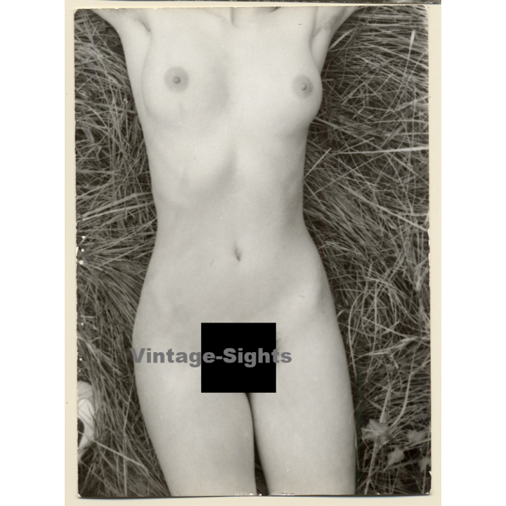 Erotic Study: Natural Long-Haired Nude In The Nature*14 (Vintage Photo GDR 1980s)