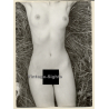Erotic Study: Natural Long-Haired Nude In The Nature*14 (Vintage Photo GDR 1980s)