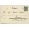 Hannover / Germany: Tiergartenstrasse (Vintage PC 1900)