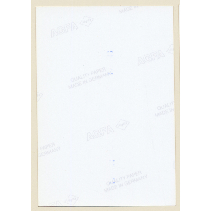 Erotic Study: Busty Topless Dark-Haired Female / Cheeky Bra (Vintage Photo East Germany 1990s)