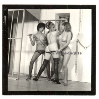 Erotic Study: 3 Semi Nude Maids Im Bondage/Spanking Session*6 (Vintage Contact Print 1970s/1980s)